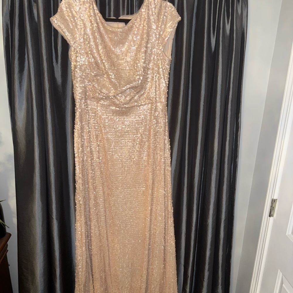 Adrianna Papell Rose Gold/Champagne Sequin Maxi Dress